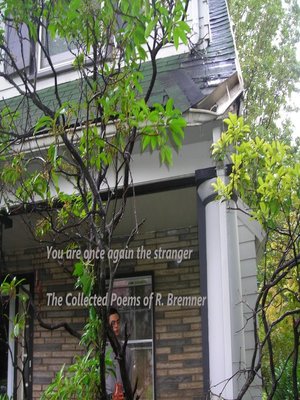 cover image of You Are Once Again the Stranger